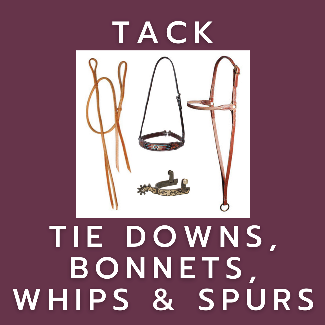 TACK Tie Downs, Whips and Spurs The Performance Horse Academy