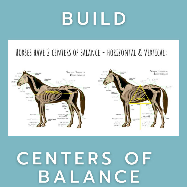 Horizontal & Vertical Centers of Balance